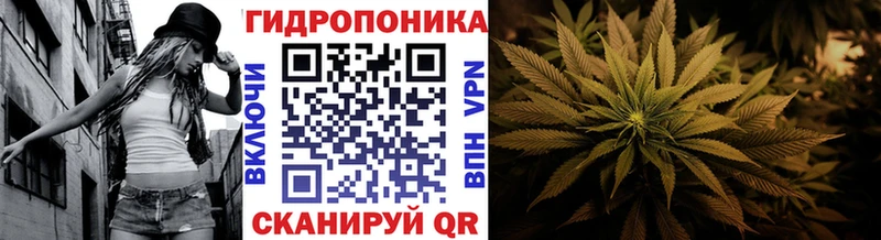 Канабис SATIVA & INDICA Октябрьск